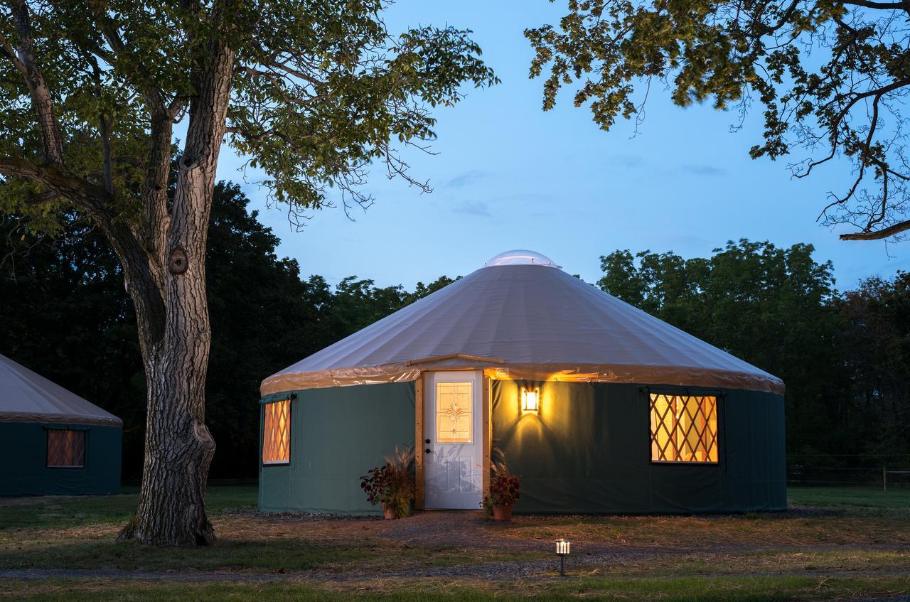 Yale Manor B&B & Yurt Glamping Exteriér fotografie