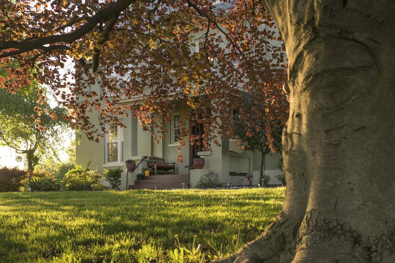 Yale Manor B&B & Yurt Glamping Exteriér fotografie